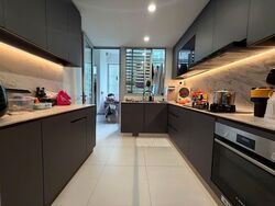 Cairnhill Residences (D9), Apartment #559718481